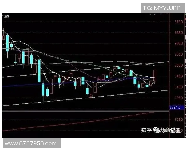 广州篮球队与深圳篮球队赛后状态分析与复盘总结