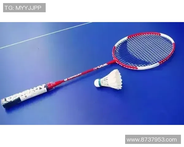 深圳羽毛球队防守策略揭秘深度解析羽毛球技术与战术的完美结合